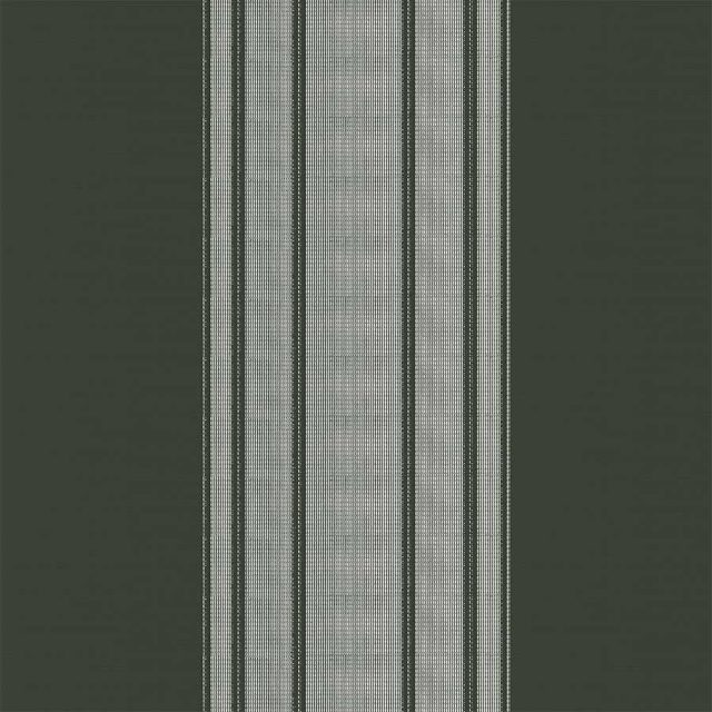 Stripe Forest