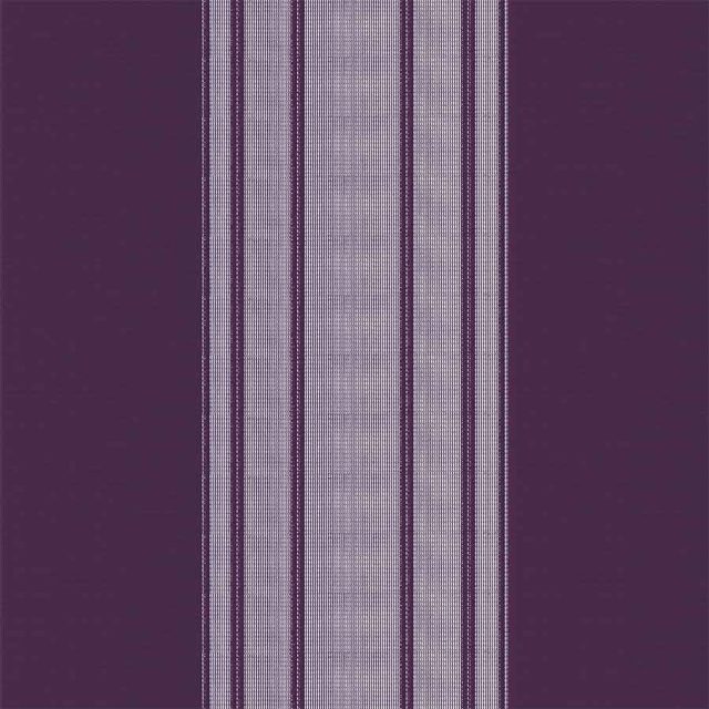 Stripe Purple